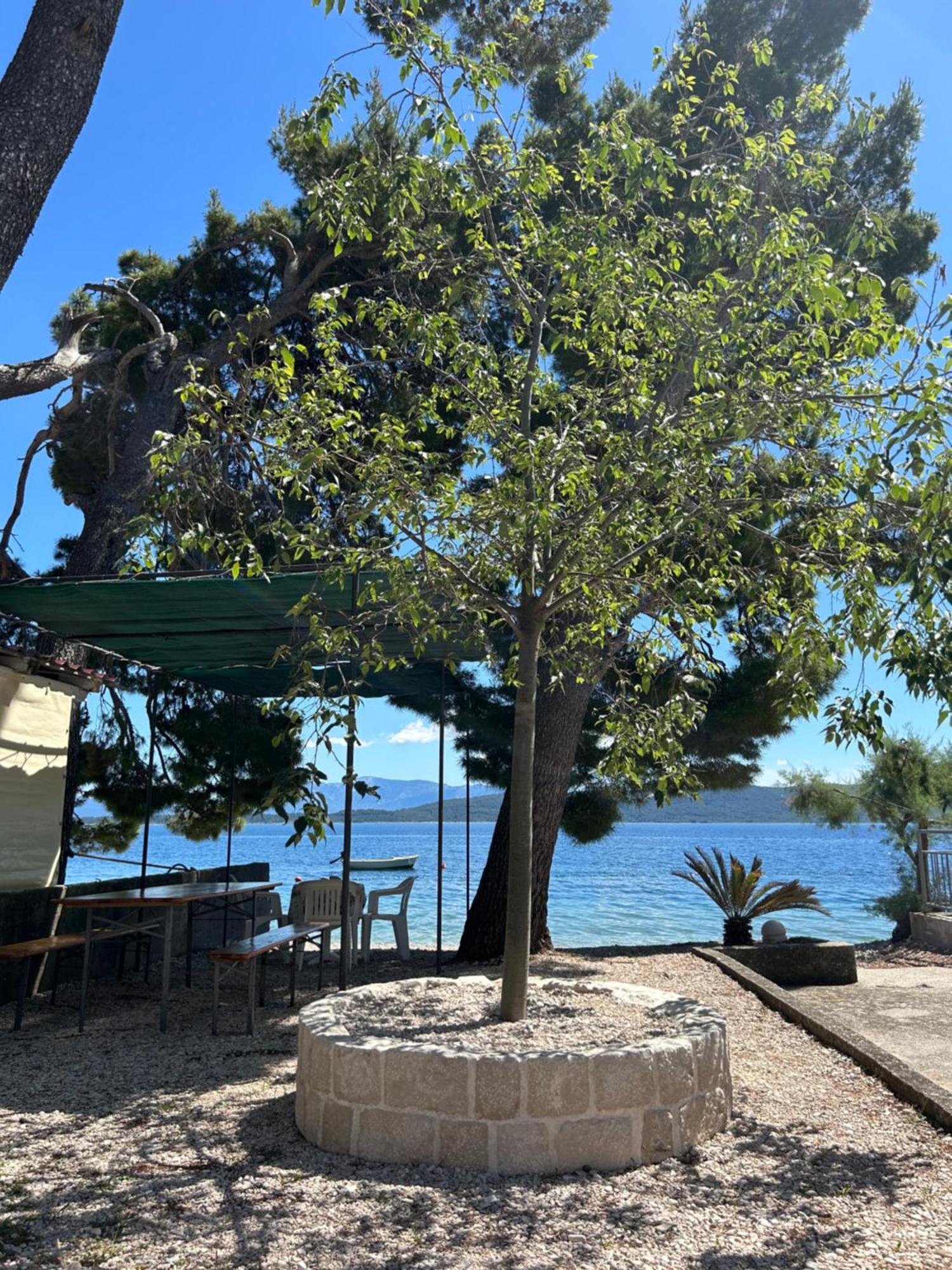 Sobe Gorana Hotel Živogošće Exterior foto