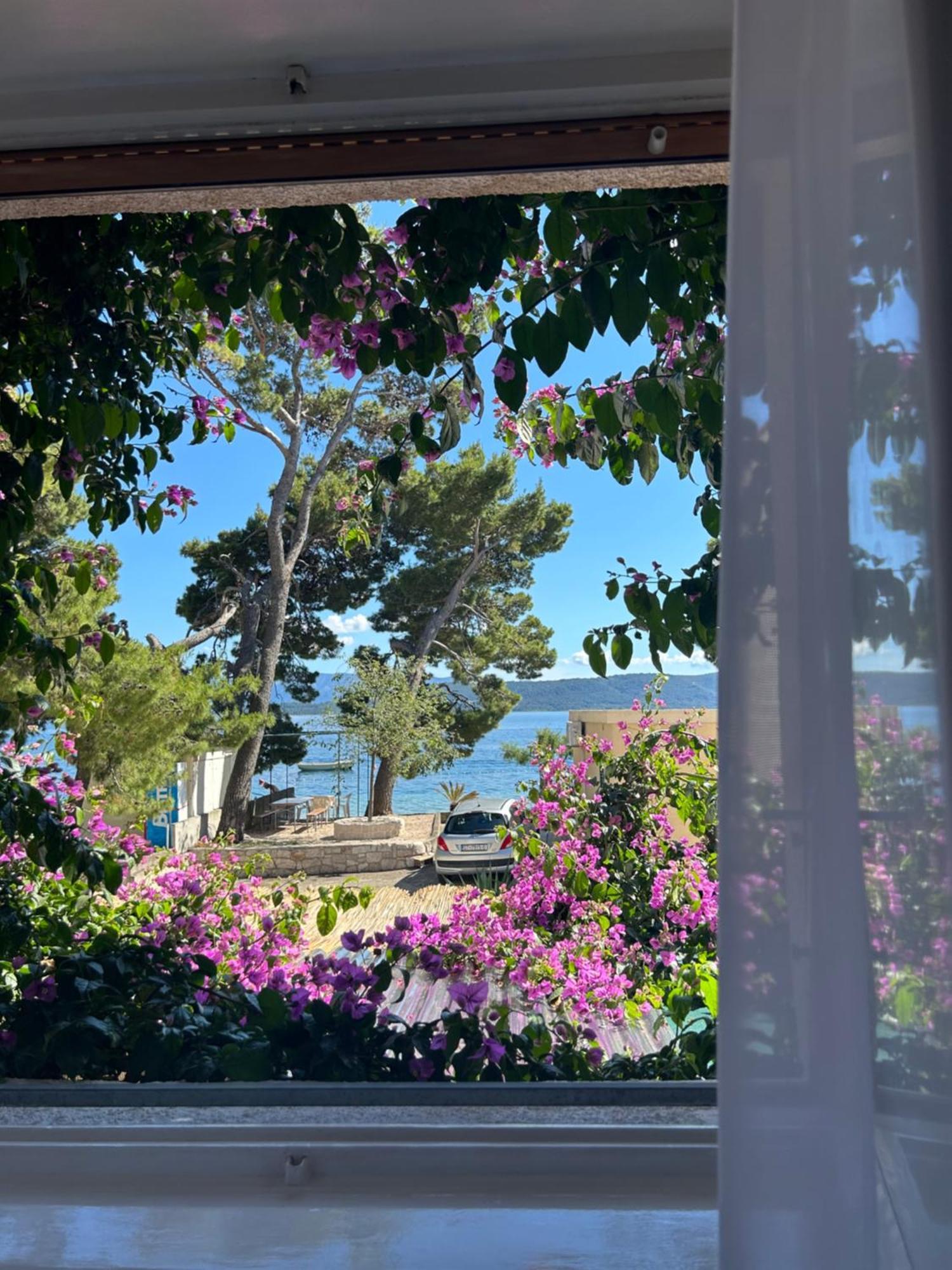 Sobe Gorana Hotel Živogošće Exterior foto